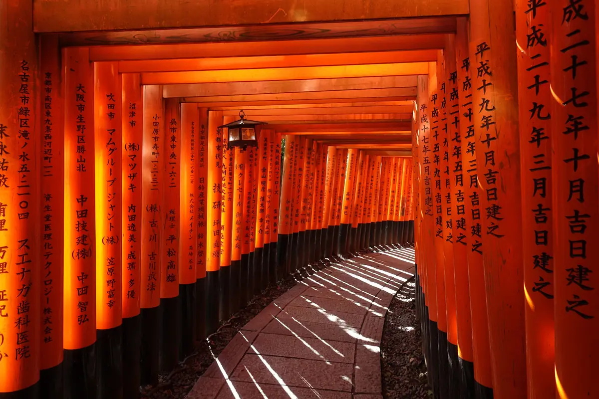 O caminho de torii do Fushimi Inari, em Kyoto
